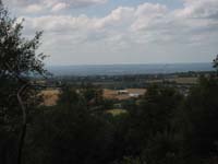 IMG_3954_IMG_4299