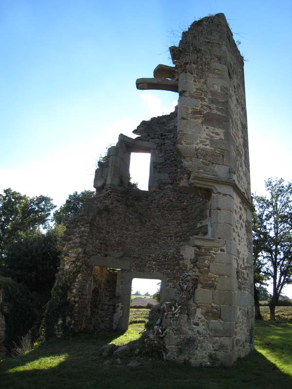 zIMG_0295