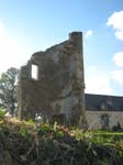 zIMG_0294