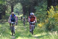 IMG_1937