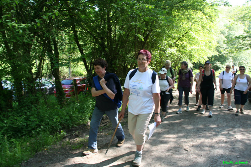 IMG_2011