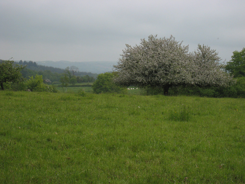 Ixus_IMG_3841