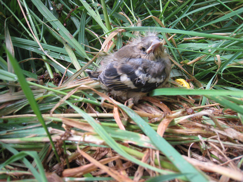 Ixus_IMG_3843