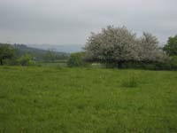 Ixus_IMG_3841