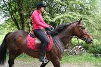 C350D_IMG_3682