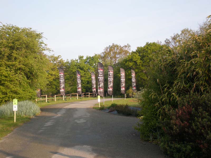 P5090142