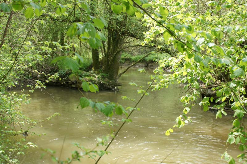 DSC00580