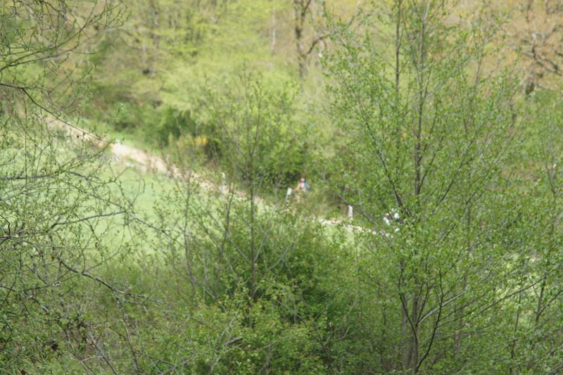 DSC00649
