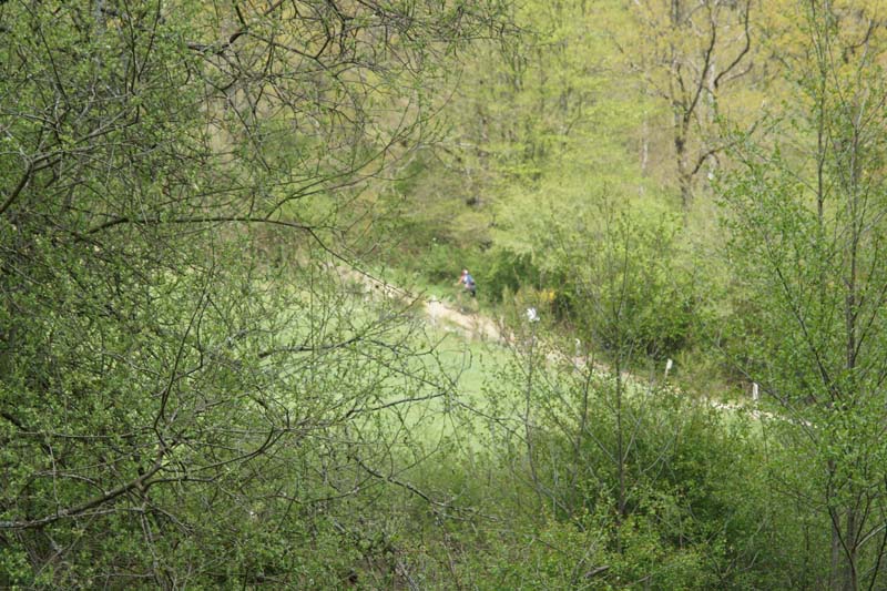 DSC00650
