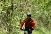 DSC00565