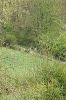 DSC00625