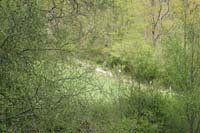 DSC00650