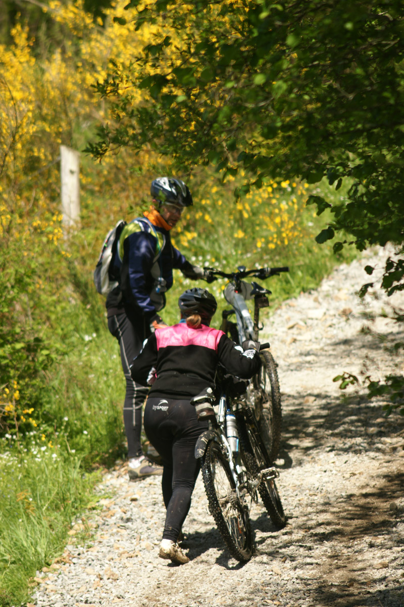 DSC05255