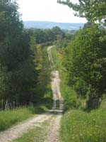 IMG_8802