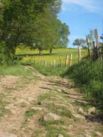 IMG_8804
