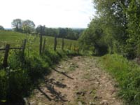 IMG_8805